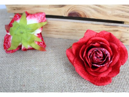 glowka kwiatowa roza zasuszo 109997