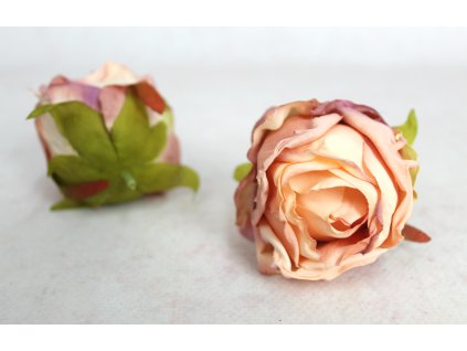glowka kwiatowa roza zasuszo 112831