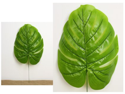 lisc silikonowy monstera 50x 109050