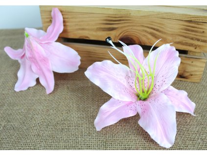 glowka kwiatowa lilia 3d 19 109748