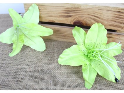 glowka kwiatowa lilia 3d 19 109749