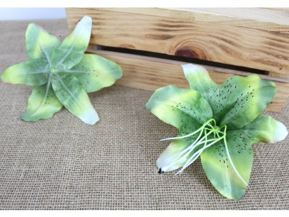 glowka kwiatowa lilia 3d 19 109747