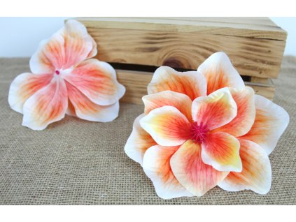 glowka kwiatowa magnolia 3d 109734