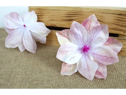 glowka kwiatowa magnolia 3d 109710