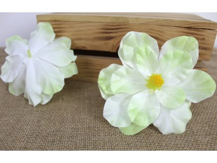 glowka kwiatowa magnolia 3d 109742