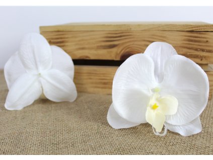 glowka kwiatowa storczyk 12 109701