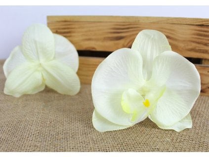 glowka kwiatowa storczyk 12 109703