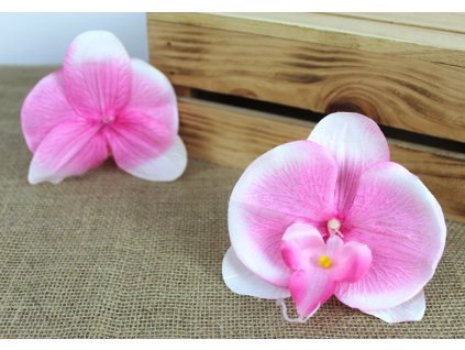 glowka kwiatowa storczyk 12 109707