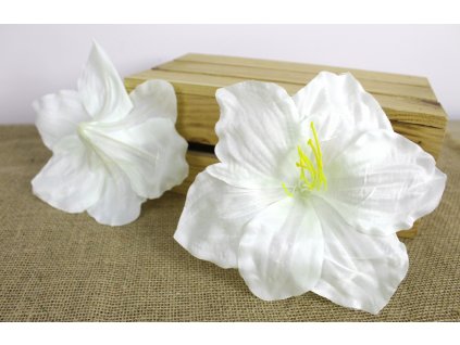 glowka kwiatowa amarylis 20 109716