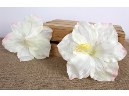 glowka kwiatowa amarylis 20 109717