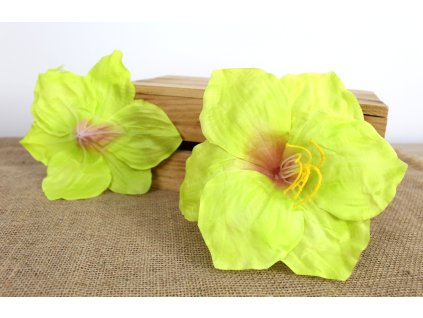 glowka kwiatowa amarylis 20 109713