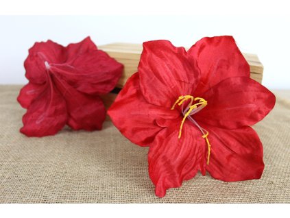 glowka kwiatowa amarylis 20 109712