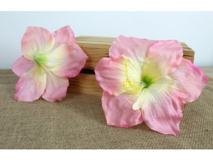 glowka kwiatowa amarylis 20 109715