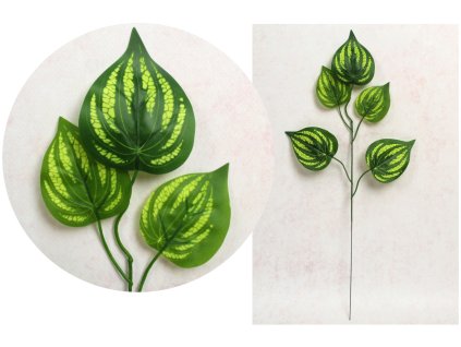 lisc silikonowy 1 ramienny s 110645