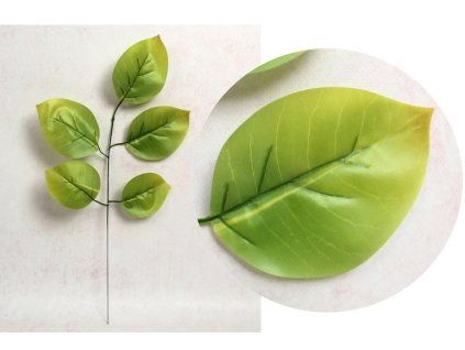 lisc silikonowy 1 ramienny o 110672