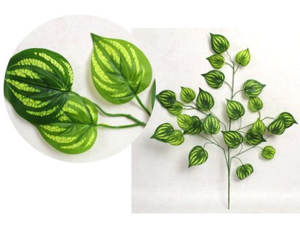 lisc 5 ramienny 70 cm jasnoz 110627