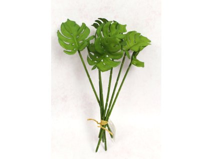 bukiet lisci peczek monstera 110393