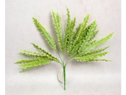 bukiet kaktus zygzakowaty si 110404