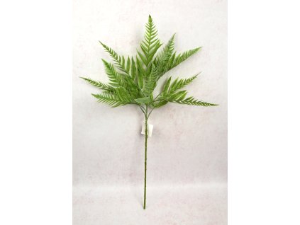 galazka paproc wys 78 cm jas 110401