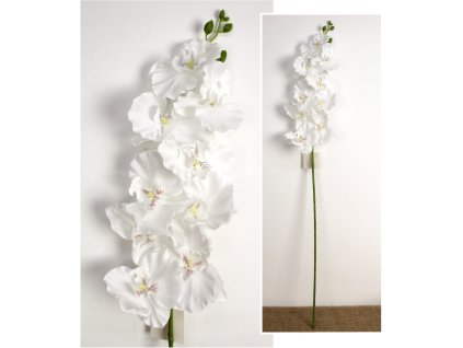 kwiat storczyk wys 95 cm 9 k 110340