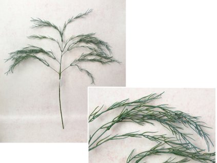 galazka ala koper wys 60 cm 110780