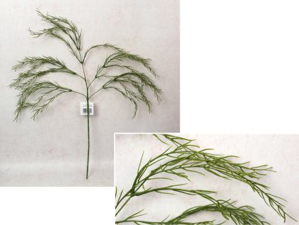 galazka ala koper wys 60 cm 110779