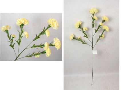 kwiat gozdzik wys 84 cm 5 ra 110847