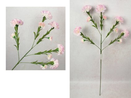 kwiat gozdzik wys 84 cm 5 ra 110846