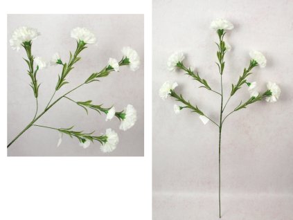 kwiat gozdzik wys 84 cm 5 ra 110844