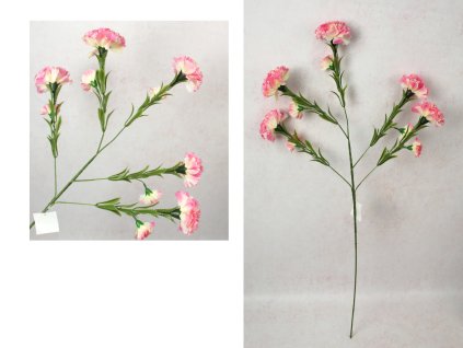 kwiat gozdzik wys 84 cm 5 ra 110848