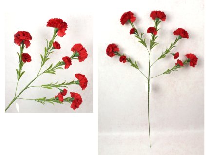 kwiat gozdzik wys 84 cm 5 ra 110845