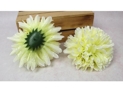 glowka chryzantema 19x10 cm 111104