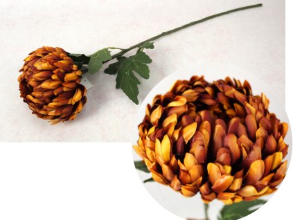 kwiat chryzantema ananas wys 110997