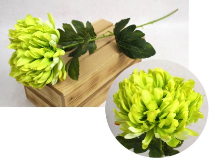 kwiat chryzantema wys 63 cm 110575