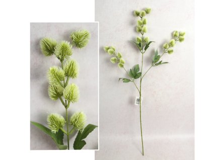 galazka czosnek wys 82 cm 3 111599