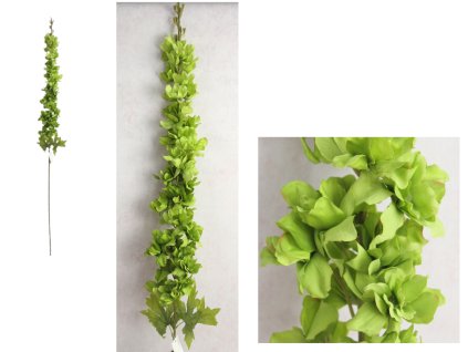 kwiat ostrozka wys 118 cm kw 111522