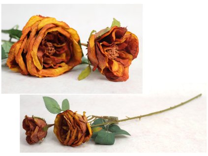 kwiat roza zasuszona wys 68 111527