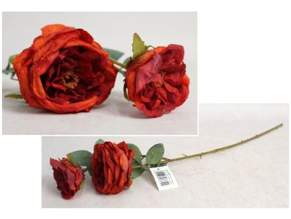 kwiat roza zasuszona wys 68 111528