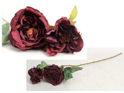 kwiat roza zasuszona wys 68 111529
