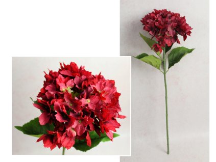 kwiat chortensja wys 67 cm k 111515