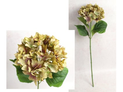 kwiat chortensja wys 67 cm k 111512