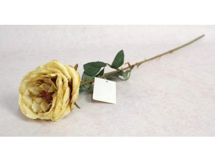kwiat roza zasuszona wys 64 111569