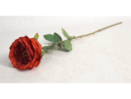 kwiat roza zasuszona wys 64 111567