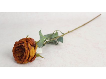 kwiat roza zasuszona wys 64 111566