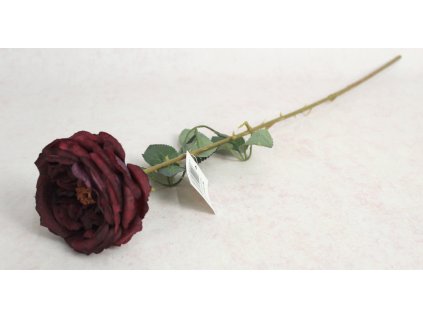 kwiat roza zasuszona wys 64 111568