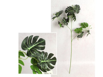 galazka monstera wys 68 cm 3 111600