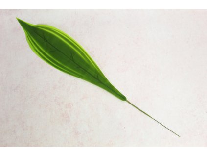 lisc kalatea silikonowy na p 111584