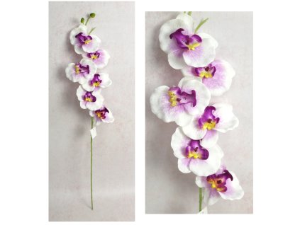 kwiat storczyk wys 75 cm 6 k 111561