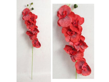 kwiat storczyk wys 75 cm 6 k 111565