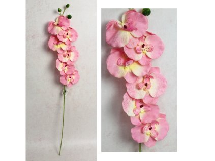 kwiat storczyk wys 75 cm 6 k 111564